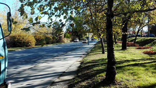 Vozač belog Juga vozi u suprotnom smeru jednosmernom ulicom Zeleni bulevar u Boru / foto: čitalac reporter