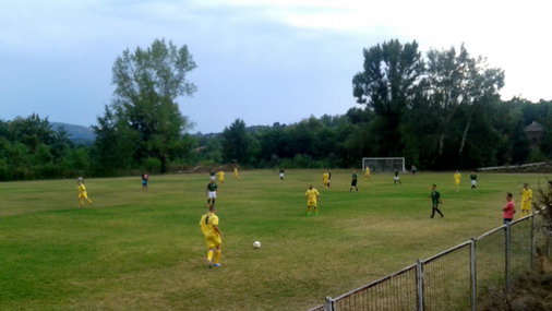 Detalj sa utakmice OFK Slatina - OFK Bor / foto: D.Popaz